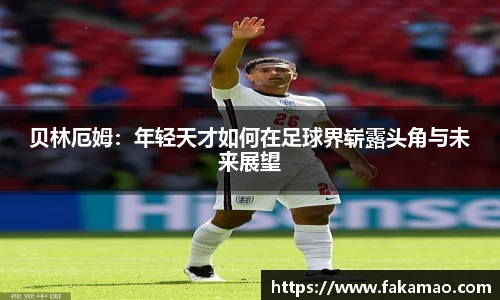 九游体育登录入口